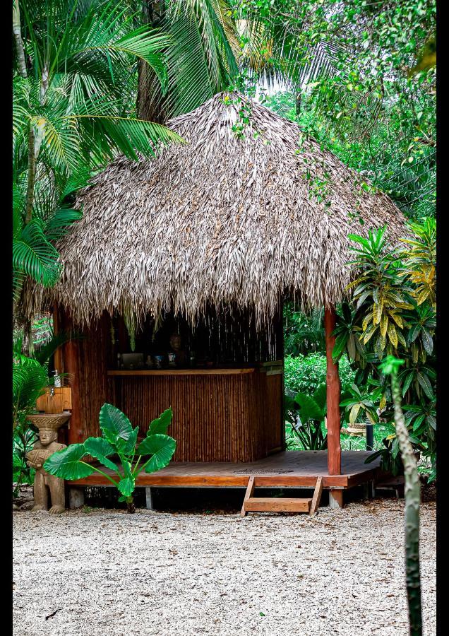 Villas Pura Vibra Потреро Экстерьер фото