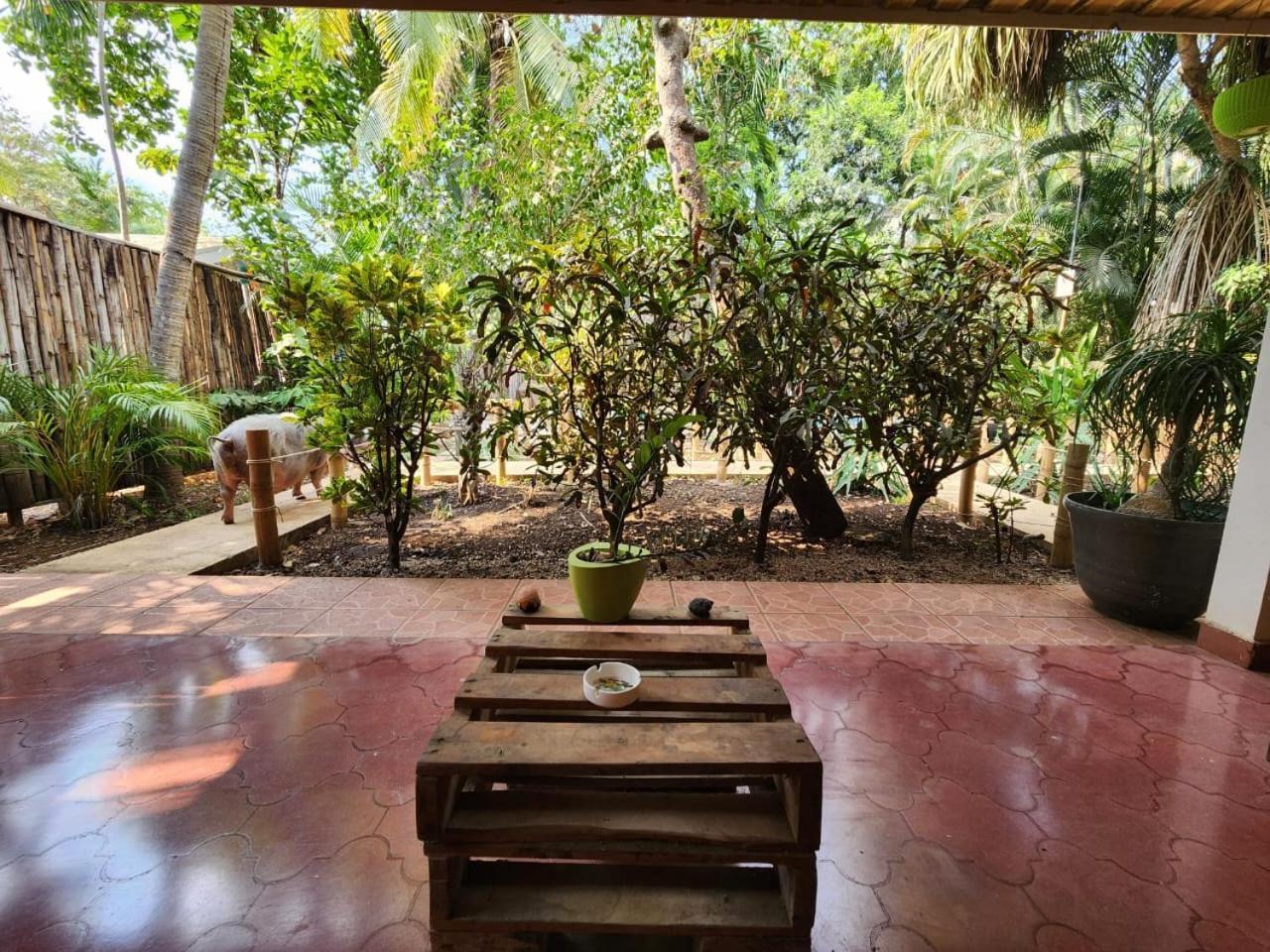 Villas Pura Vibra Потреро Экстерьер фото